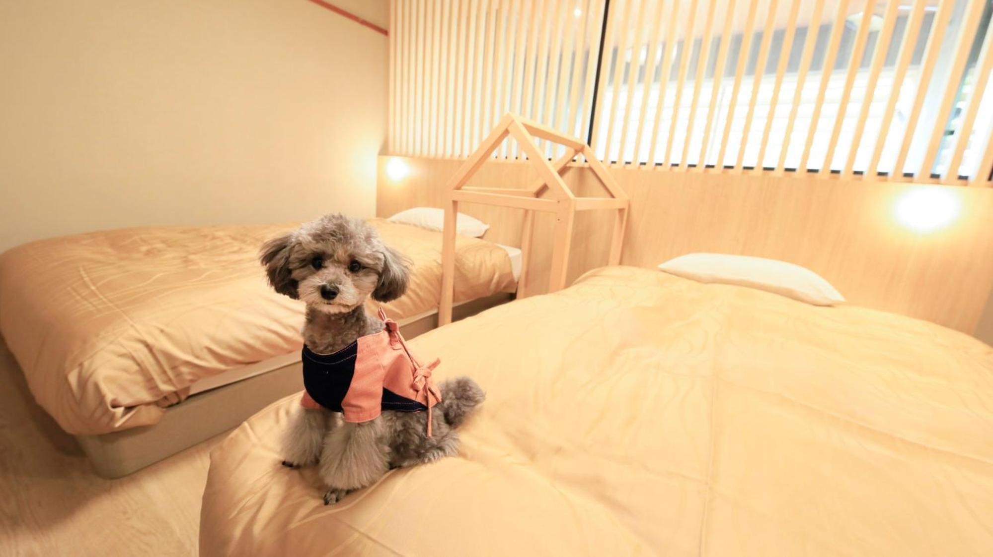 Yururi Nishiizu Hotel Izu  Buitenkant foto